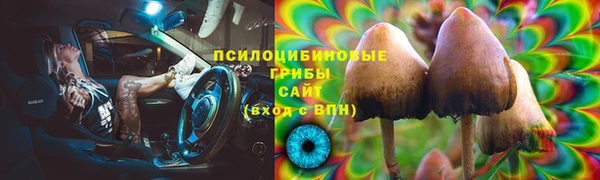 СК Аркадак