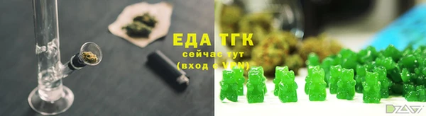 СК Аркадак