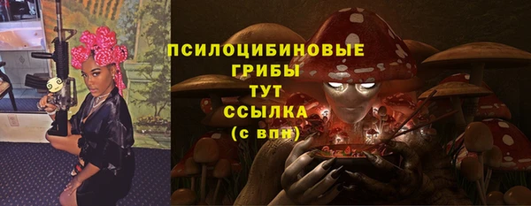 спиды Осинники